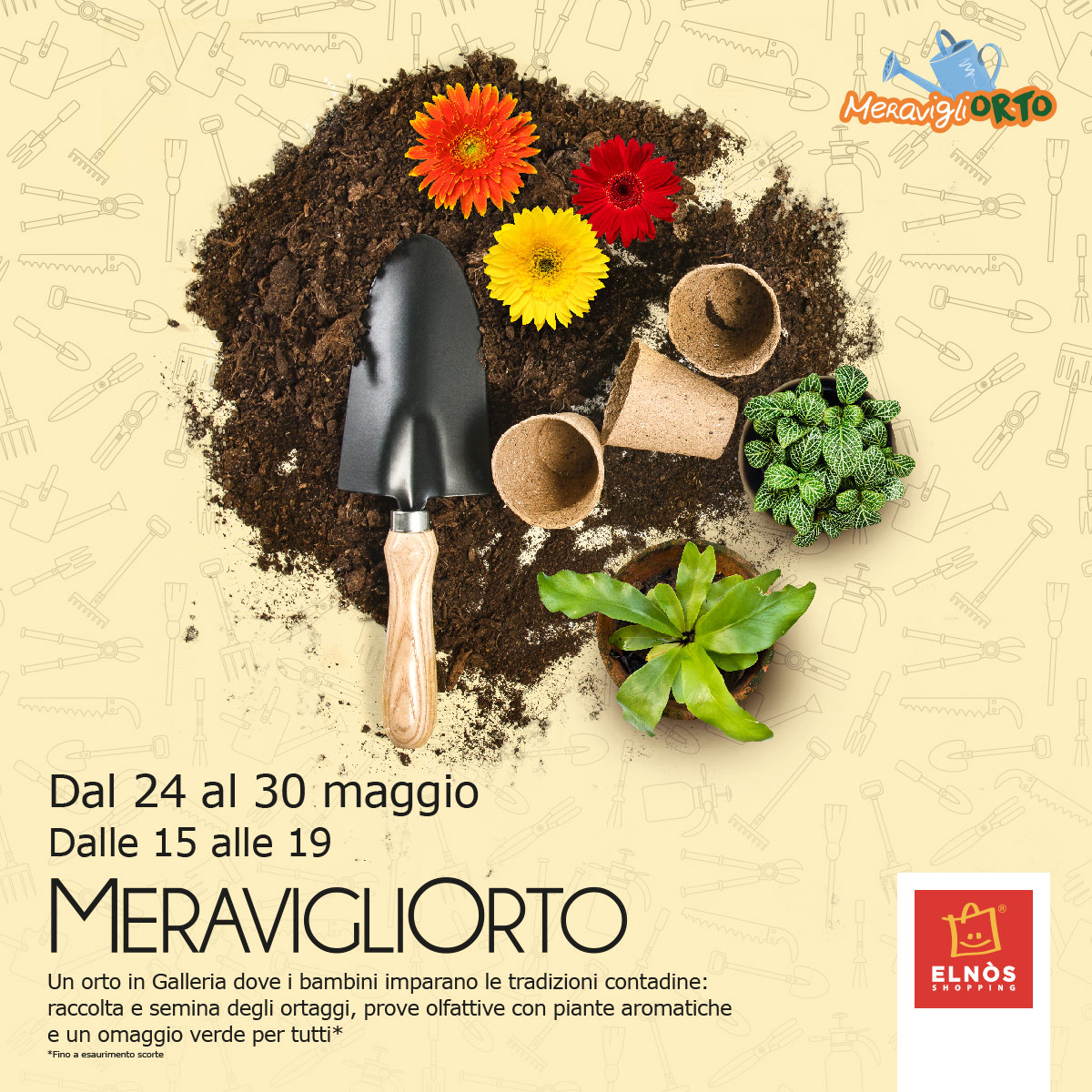 ELNOS MERAVIGLIORTO 1200X1200 FB